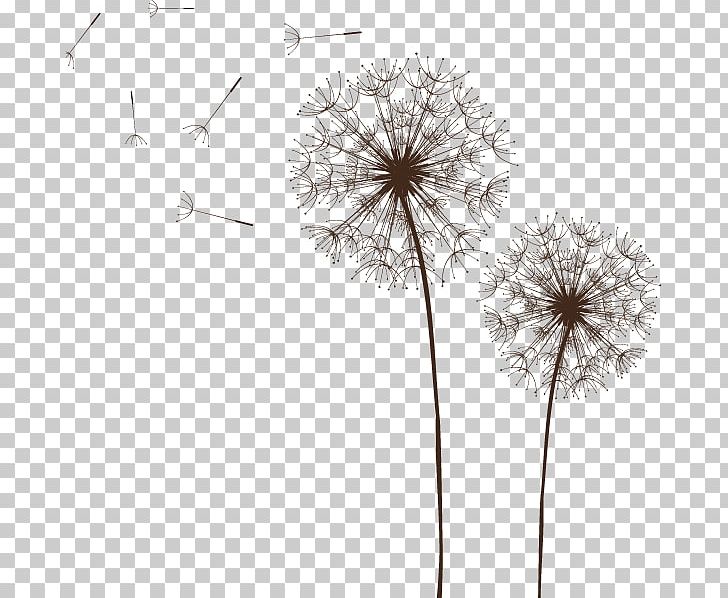 Light Dandelion Euclidean PNG, Clipart, Background Pattern, Beautiful, Black And White, Black Dandelion, Color Free PNG Download