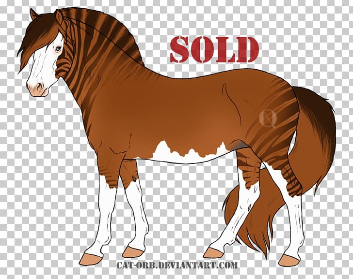 Mane Foal Mare Stallion Colt PNG, Clipart, Bridle, Cartoon, Cat Shop, Colt, Foal Free PNG Download