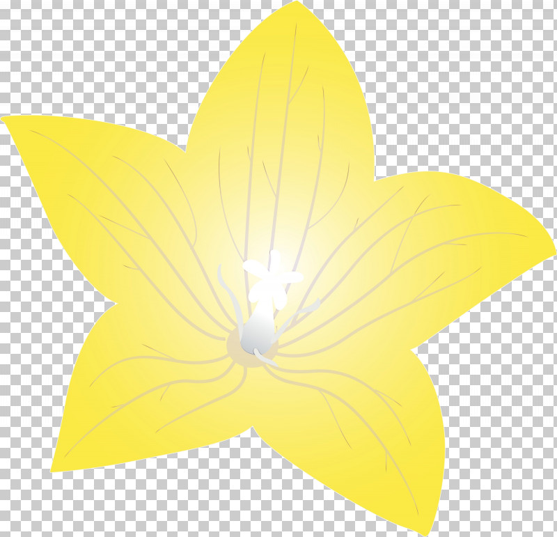 Leaf Flower Petal Symmetry Yellow PNG, Clipart, Balloon Flower, Biology, Flora, Flower, Geometry Free PNG Download