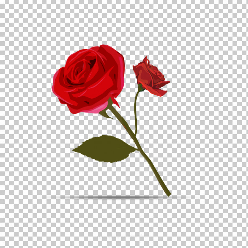 Garden Roses PNG, Clipart, Artificial Flower, Bud, Carmine, China Rose, Cut Flowers Free PNG Download