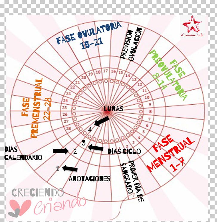 Diagram Lunar Calendar Fertility Menstrual Cycle Moon PNG, Clipart, Area, Calendar, Circle, Diagram, Female Free PNG Download