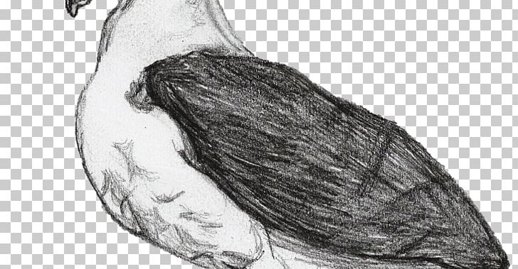 Homo Sapiens Jaw Figure Drawing Sketch PNG, Clipart, Arm, Artwork, Beak, Black And White, Blackbrowed Albatross Free PNG Download