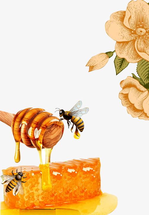 Honey Bees PNG, Clipart, Acacia, Acacia Honey, Bee, Beeswax, Beverage Free PNG Download