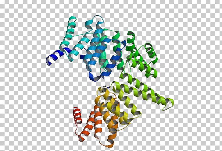 Protein RecA SOS Response Molecular Biology PNG, Clipart, Biology, Cell, Cls, Dna, Dna Repair Free PNG Download