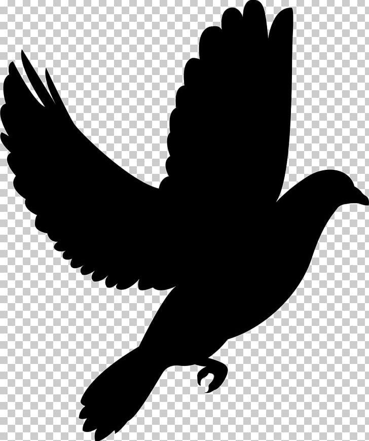 Silhouette Photography PNG, Clipart, Animals, Art, Beak, Bird, Black And White Free PNG Download