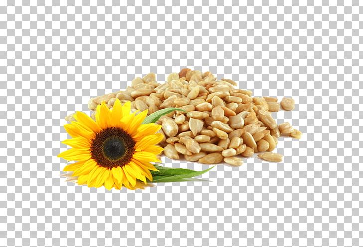Sunflower Seed Common Sunflower Bird Food Horse PNG, Clipart, Bird, Bird Food, Commodity, Common Sunflower, Equine Nutrition Free PNG Download