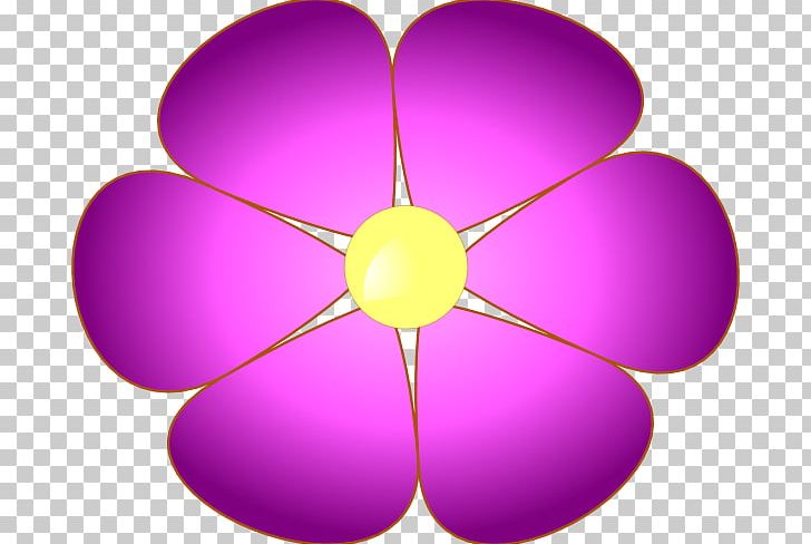 Violet Viola Sororia Purple PNG, Clipart, African Violets, Blue, Circle, Flower, Flowers Free PNG Download