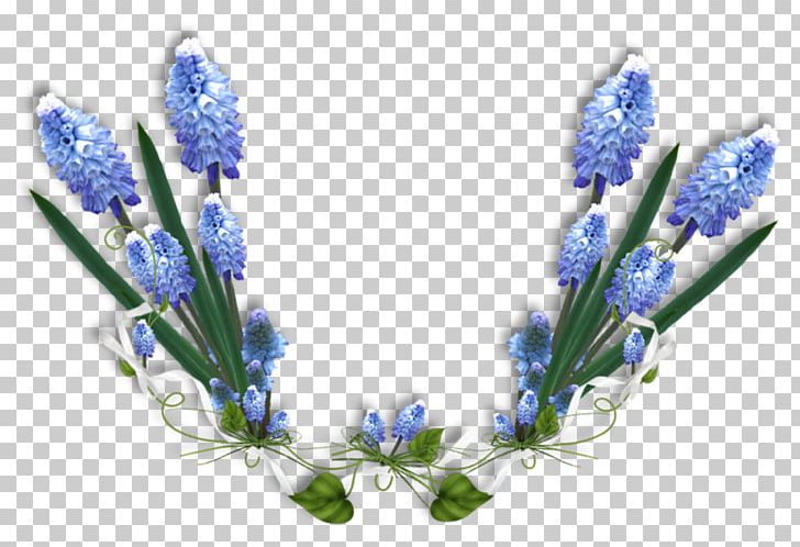 Blue Paint.net Flower PNG, Clipart, Blue, Color, Desktop Wallpaper, English Lavender, Flower Free PNG Download