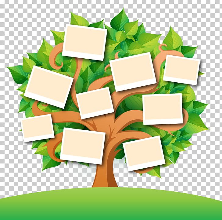 Family Tree Genealogy Book PNG, Clipart, Child, Download, Fall Leaves, Family, Frame Free PNG Download