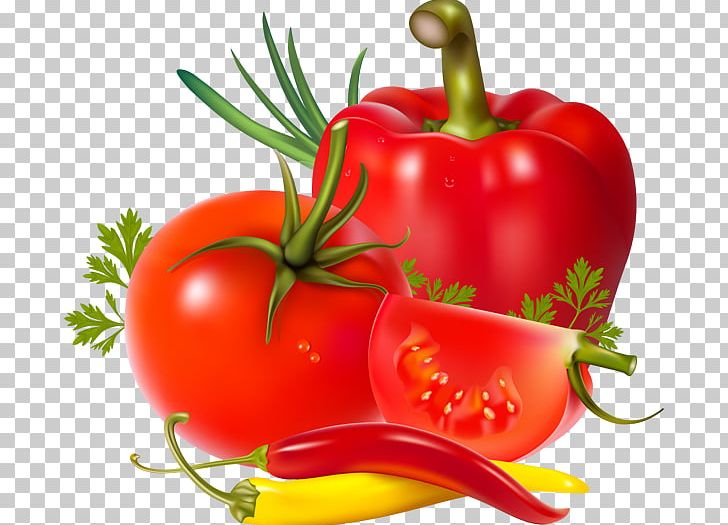 Salsa Tomato Juice Vegetable Chili Pepper PNG, Clipart, Beefsteak Tomato, Bell Pepper, Chili Pepper, Diet Food, Food Free PNG Download