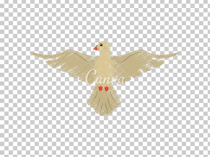 Columbidae Doves As Symbols Drawing Holy Spirit PNG, Clipart, Beak, Bird, Columbidae, Doves As Symbols, Drawing Free PNG Download