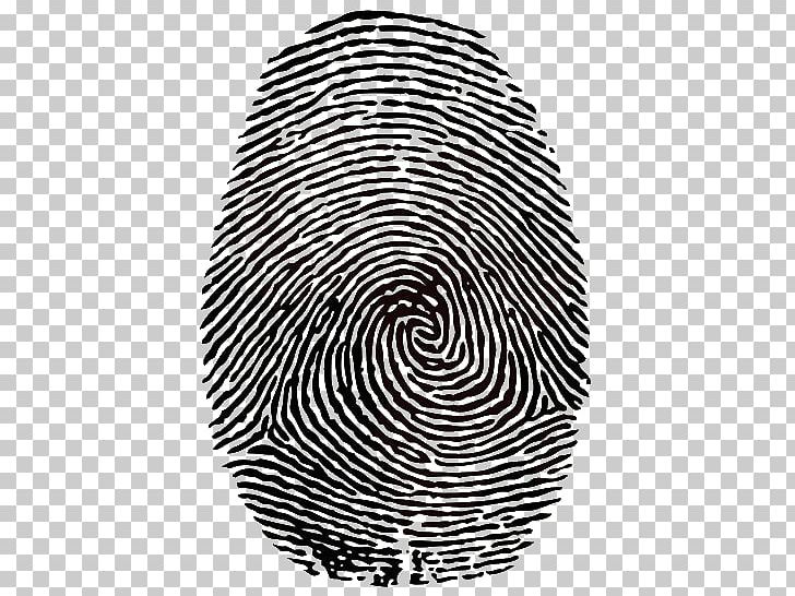 Fingerprint PNG, Clipart, Art, Black And White, Circle, Criminal Investigation, Digit Free PNG Download