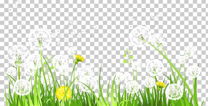 Icon PNG, Clipart, Adobe Illustrator, Cartoon, Computer, Computer Wallpaper, Dandelion Flower Free PNG Download