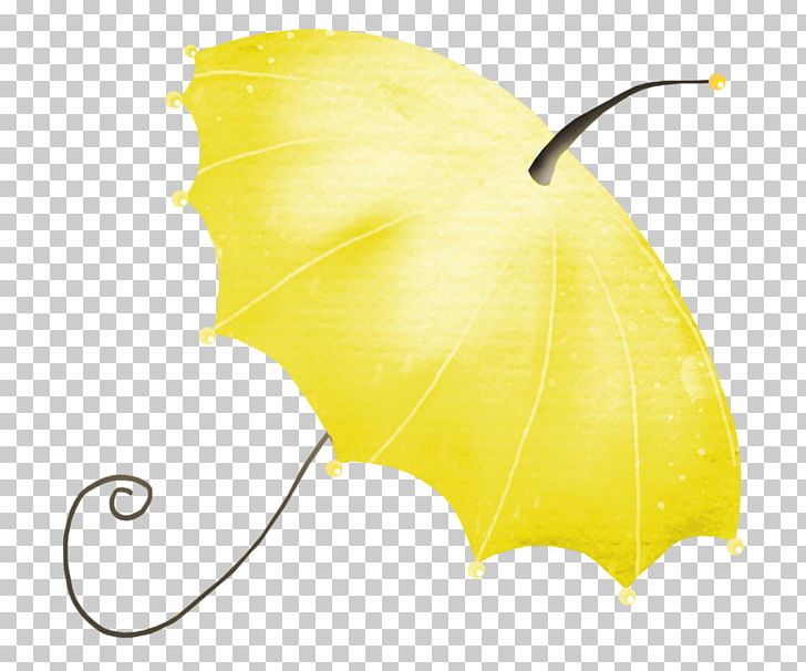 Umbrella Icon PNG, Clipart, Adobe Illustrator, Beach Umbrella, Bending, Black Umbrella, Download Free PNG Download