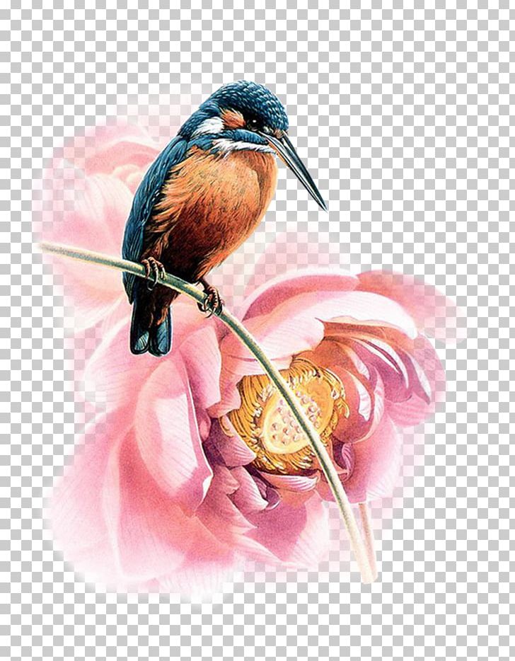 Watercolor Painting Drawing PNG, Clipart, Abstract Art, Art, Beak, Bird, Digital Painting Free PNG Download