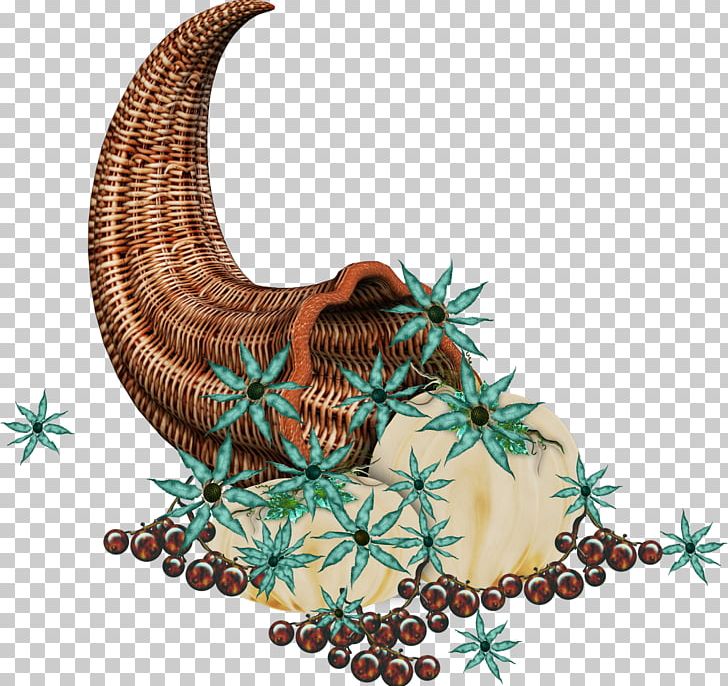 Animal PNG, Clipart, Animal, Cornucopia, Organism, Others Free PNG Download