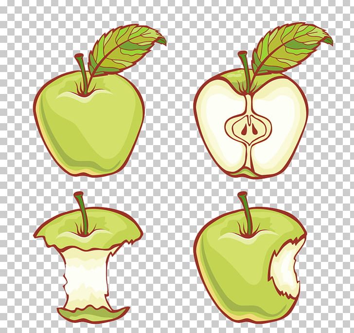 Apple Adobe Illustrator Illustration PNG, Clipart, Adobe Illustrator, Apple, Apple Core, Background Green, Cartoon Free PNG Download
