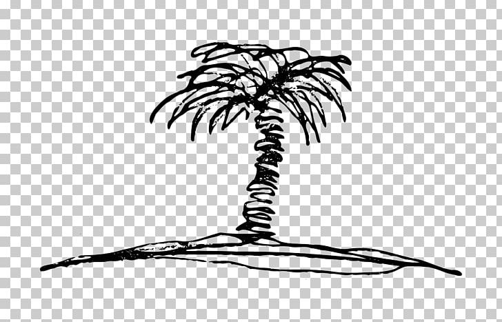 Drawing PNG, Clipart, Arecaceae, Arecales, Art, Black And White, Branch Free PNG Download