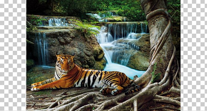 Stock Photography Cascading Waterfall Nature PNG, Clipart, Big Cats, Carnivoran, Cat Like Mammal, Desktop Wallpaper, Fauna Free PNG Download
