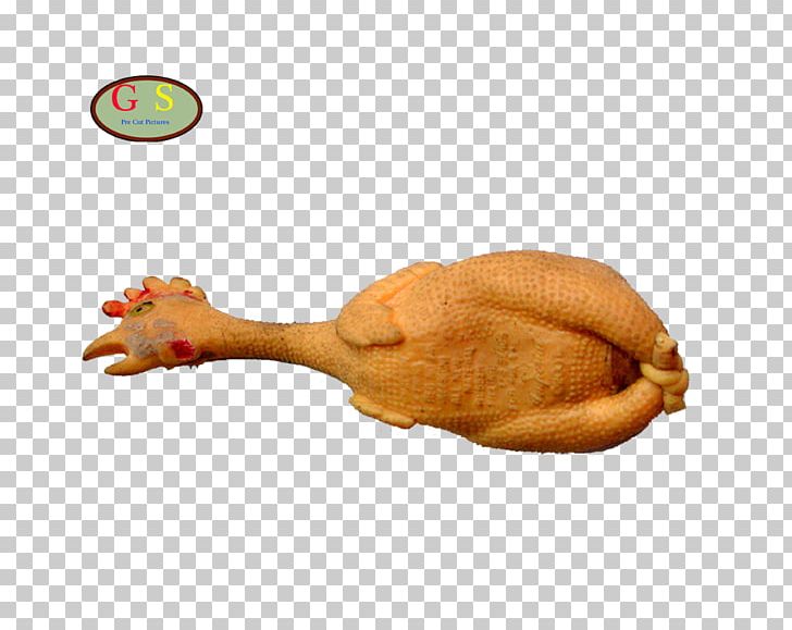Chicken Bird Death Photography PNG, Clipart, Animals, Animal Source Foods, Bird, Chicken, Chicken Meat Free PNG Download