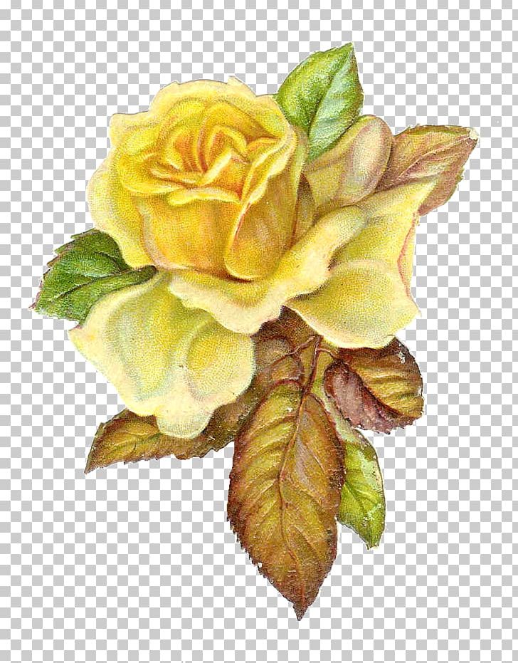Rose Yellow Flower PNG, Clipart, Antique, Artificial Flower, Blue, Bud, Clip Free PNG Download