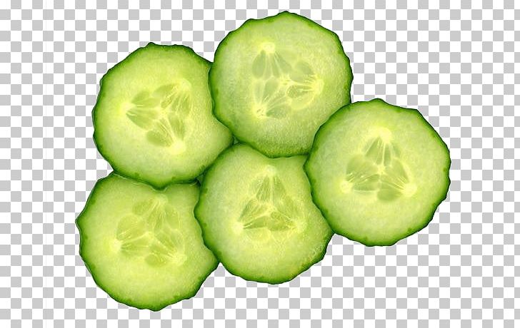 Featured image of post Cucumber Slice Clipart Affordable and search from millions of royalty free images photos and vectors
