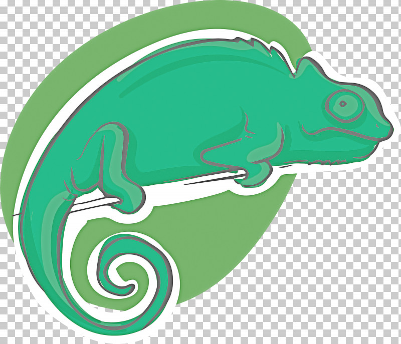 Fish Reptiles Green Line Biology PNG, Clipart, Biology, Fish, Green, Line, Reptiles Free PNG Download