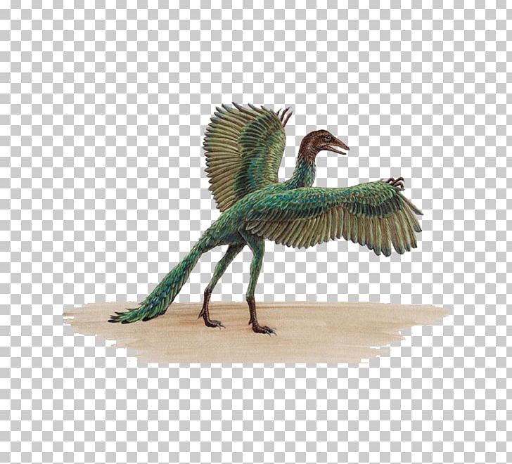 ARK: Survival Evolved Archaeopteryx Bird Pterosaurs Velociraptor PNG, Clipart, Angel Wing, Angel Wings, Animal, Ark Survival Evolved, Beak Free PNG Download