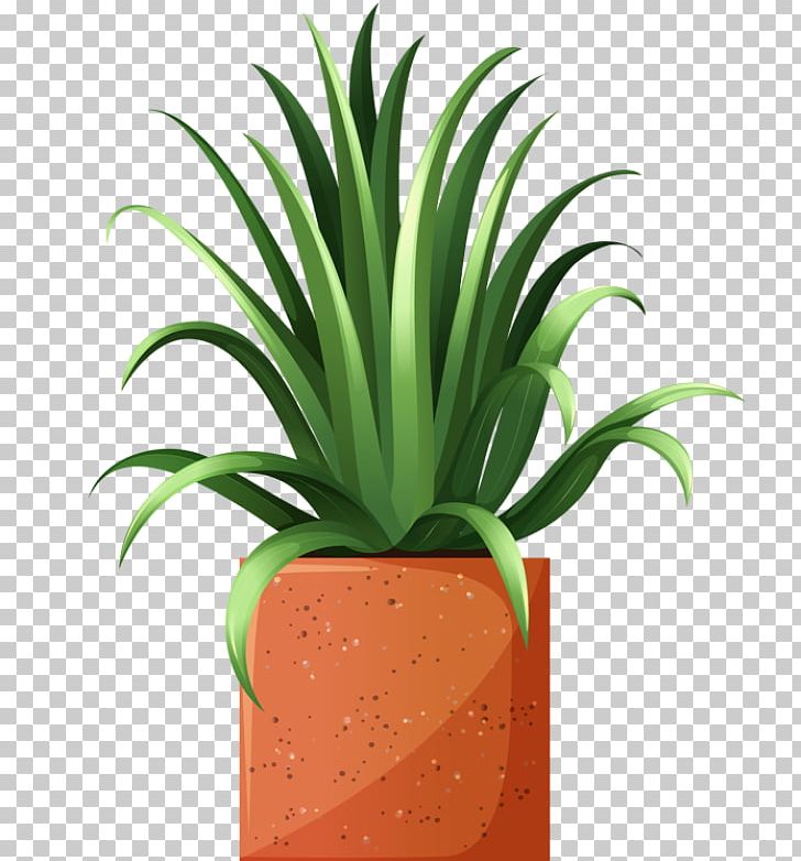 Arecaceae Tree Plant PNG, Clipart, Agave, Arecaceae, Areca Palm, Coconut, Flower Free PNG Download