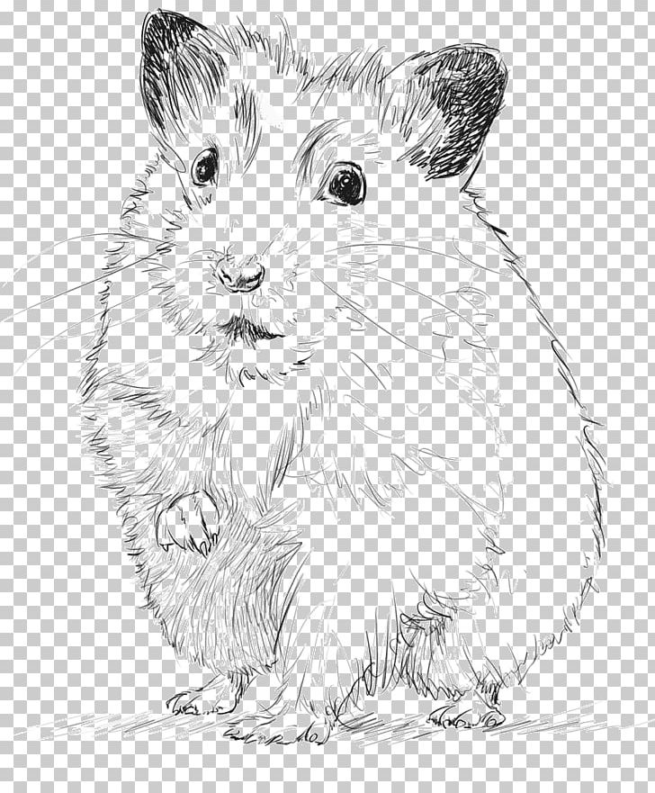Gerbil Croquis House Drawing Sketch PNG, Clipart, 13 May, 27 March, Artwork, Black And White, Carnivoran Free PNG Download