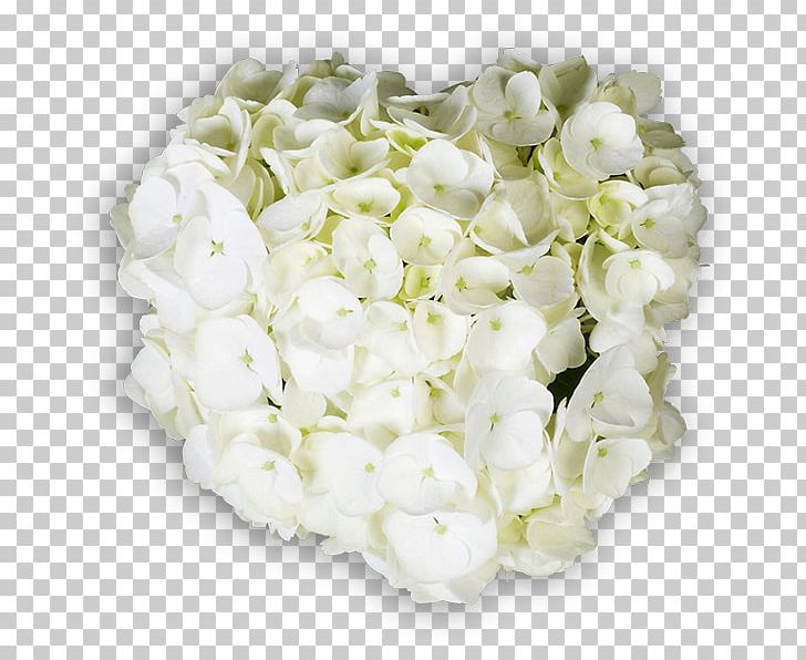 Hydrangea Floral Design Cut Flowers Flower Bouquet PNG, Clipart, Cornales, Cut Flowers, Floral Design, Floristry, Flower Free PNG Download