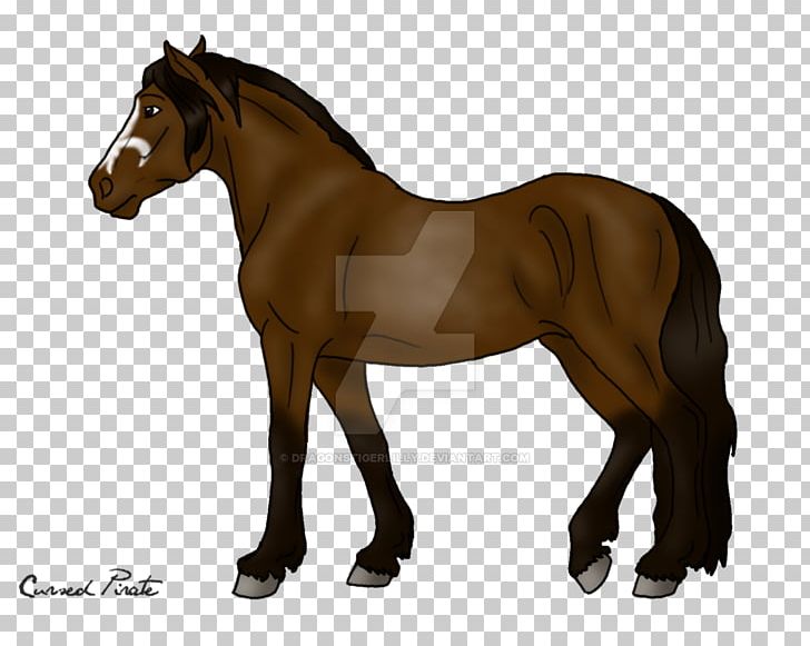 Mare Foal Mane Mustang Stallion PNG, Clipart,  Free PNG Download
