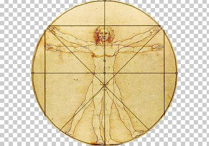 Vitruvian Man Body Proportions Golden Ratio Drawing PNG, Clipart, Architecture, Art, Body Proportions, Circle, Drawing Free PNG Download