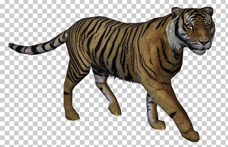 Javan Tiger Felidae Bali Tiger Cat PNG, Clipart, Animal, Animal Figure, Animals, Bali Tiger, Big Cats Free PNG Download