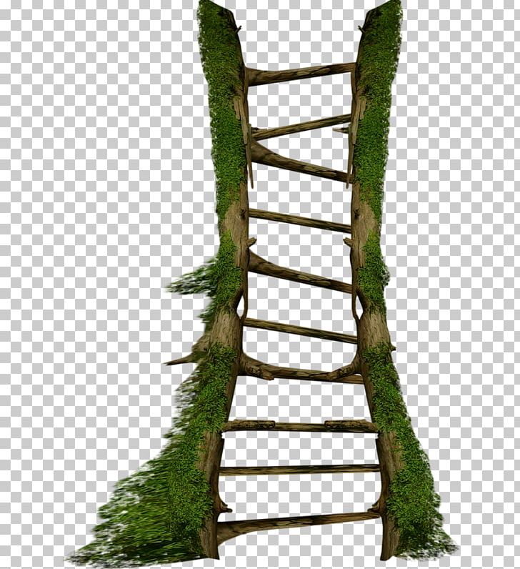 Stairs Ladder PNG, Clipart, Bit, Branch, Branches, Creative, Creative Design Free PNG Download