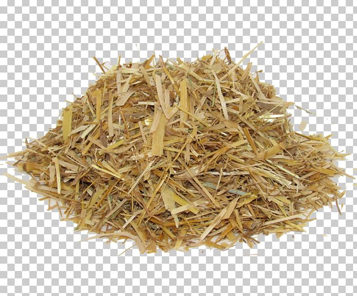 Oat Straw Hay Paper PNG, Clipart, Agriculture, Avena, Cereal, Chaff, Dianhong Free PNG Download