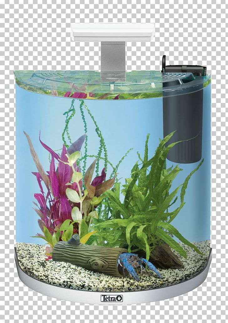Tetra AquaArt Aquarium Cabinet Tetra AquaArt Aquarium Cabinet Light-emitting Diode Tetra Wafer Mix PNG, Clipart, Aquarium, Aquarium Decor, Aquatic Plant, Fish, Flowerpot Free PNG Download
