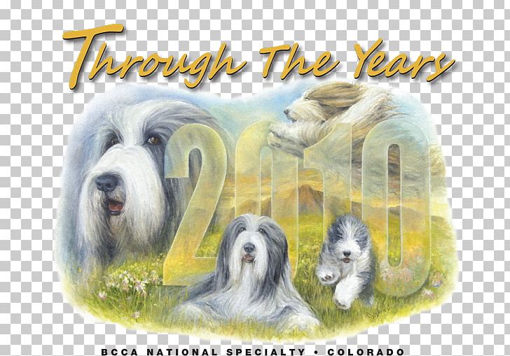 Bearded Collie Dog Breed Rough Collie Old English Sheepdog Basset Hound PNG, Clipart, Basset Hound, Bearded Collie, Breed, Carnivoran, Collie Free PNG Download