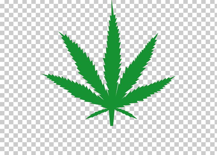 Cannabis PNG, Clipart, 420 Day, Cannabis, Drawing, Flowering Plant, Grass Free PNG Download