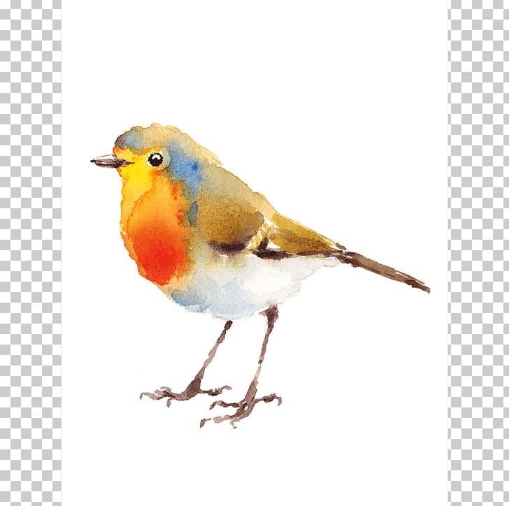 European Robin Watercolor Painting Drawing PNG, Clipart, Art, Beak, Bird, Drawing, European Robin Free PNG Download