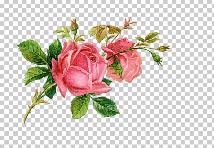 Printing And Writing Paper Stationery Rose PNG, Clipart, Cut Flowers, Envelope, Flo, Floral Design, Flower Free PNG Download