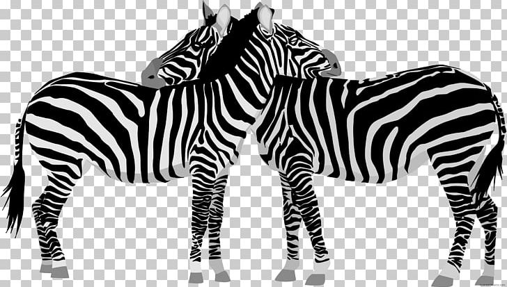 Zebra Open Illustration Lion PNG, Clipart, Animal, Animal Figure, Animal Illustrations, Animals, Black And White Free PNG Download