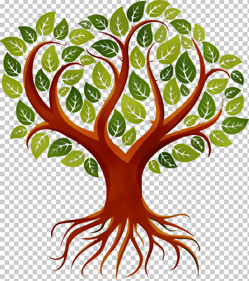 Leaf Plant Tree Woody Plant Plant Stem PNG, Clipart, Abstract Tree, Cartoon Tree, Leaf, Leaf Vegetable, Paint Free PNG Download
