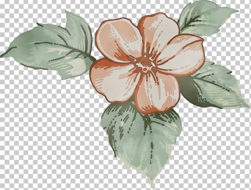 Flower Petal Plant Leaf Hawaiian Hibiscus PNG, Clipart, Drawing Flower, Floral Drawing, Flower, Hawaiian Hibiscus, Herbaceous Plant Free PNG Download