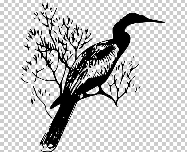 Drawing Black And White Computer Icons PNG, Clipart, Anhinga, Animals, Art, Beak, Bird Free PNG Download