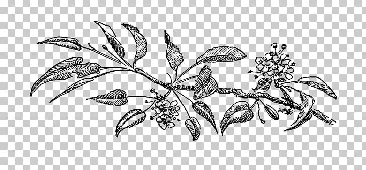 Drawing Visual Arts Flower PNG, Clipart, Art, Arts, Artwork, Black And White, Botanical Free PNG Download