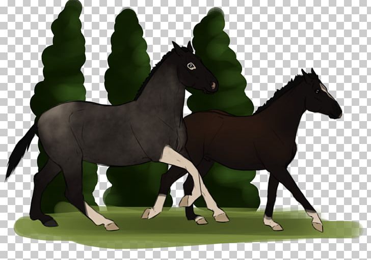 Mane Foal Mustang Stallion Colt PNG, Clipart,  Free PNG Download