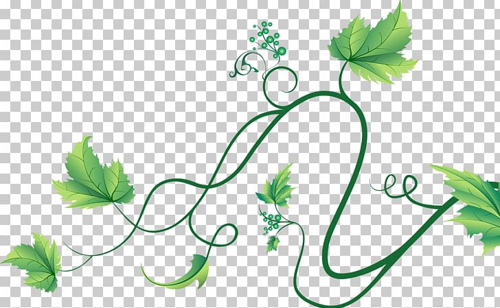 Common Grape Vine Wine PNG, Clipart, Branch, Encapsulated Postscript, Euclidean Vector, Flower, Food Free PNG Download