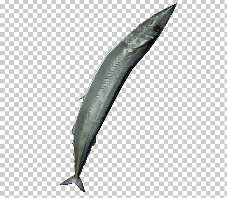 Tekken 7 Shinjuku YouTube Australia Sardine PNG, Clipart, Australia, Definition, Fin, Fish, Japan Free PNG Download