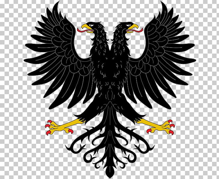 Ulster County Roscommon Leinster Tocaima Tunja PNG, Clipart, Bald Eagle, Beak, Bird, Bird Of Prey, Branch Vector Free PNG Download
